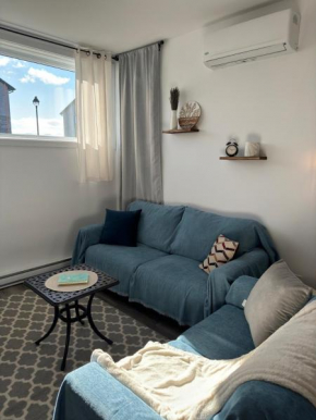 Bright and Spacious Apartment in Plateau